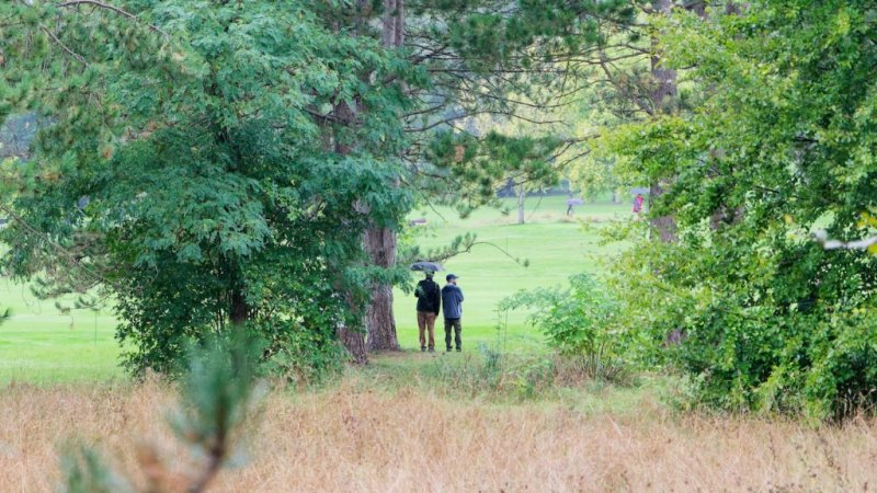 Caché sous les arbres