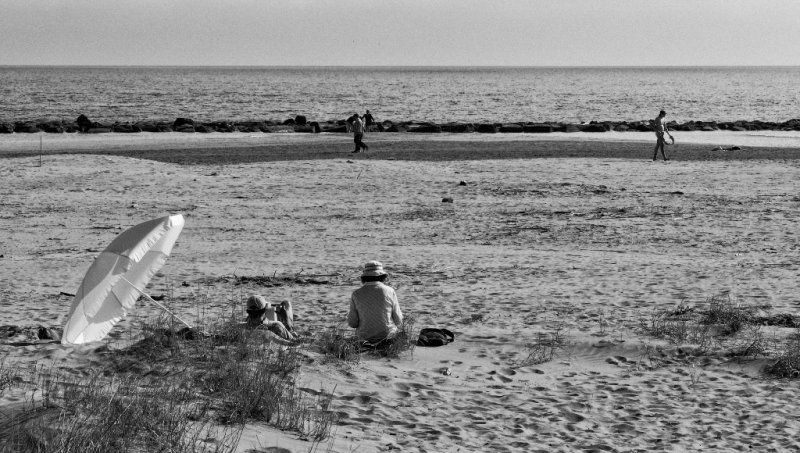 Au bord de l'eau